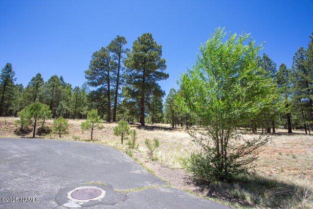 5330 N Nordica Loop, Flagstaff, AZ 86004