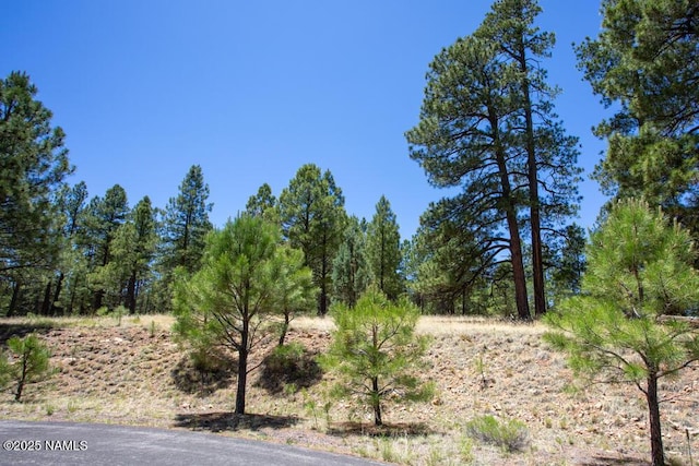 5330 N Nordica Loop, Flagstaff, AZ 86004