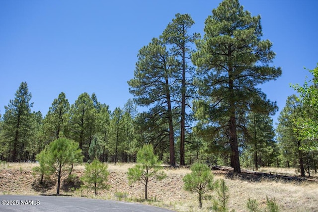 5330 N Nordica Loop, Flagstaff, AZ 86004