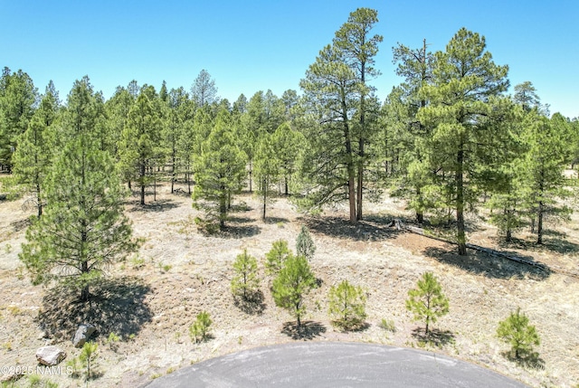 5330 N Nordica Loop, Flagstaff, AZ 86004