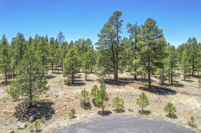 5330 N Nordica Loop, Flagstaff, AZ 86004
