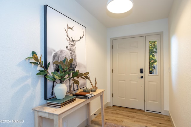 entryway with light hardwood / wood-style floors