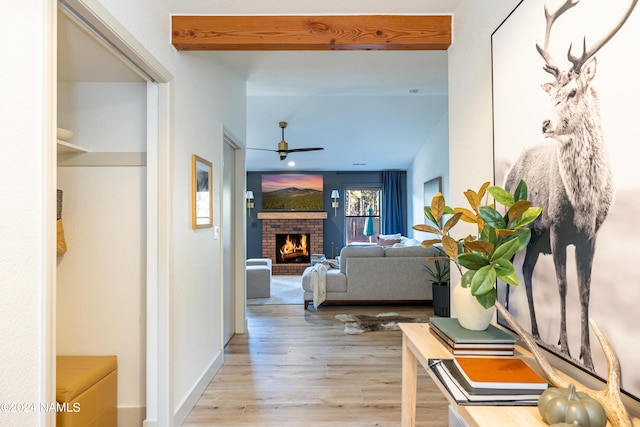 corridor featuring light hardwood / wood-style floors and beam ceiling