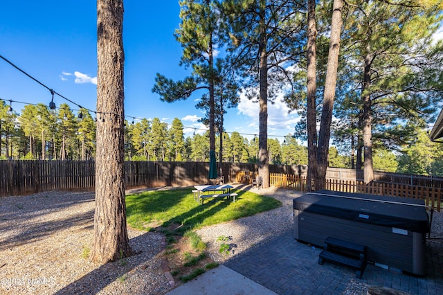 view of yard with a hot tub