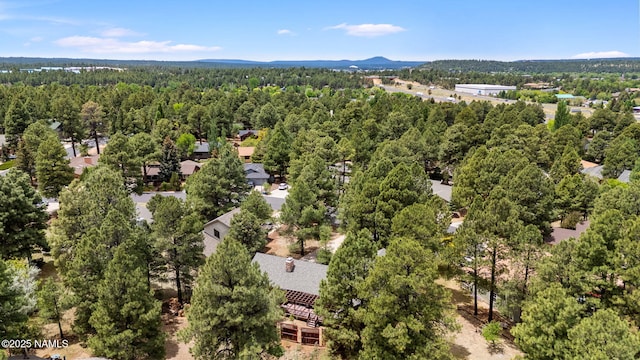 2468 N Strawberry Way, Flagstaff, AZ 86004 - aerial view of a forest