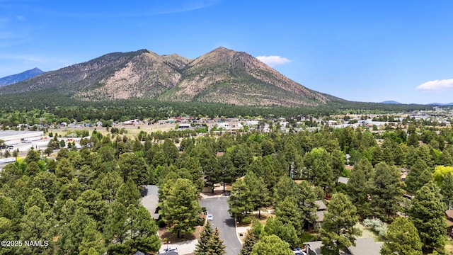 2468 N Strawberry Way, Flagstaff, AZ 86004 - view of mountain background