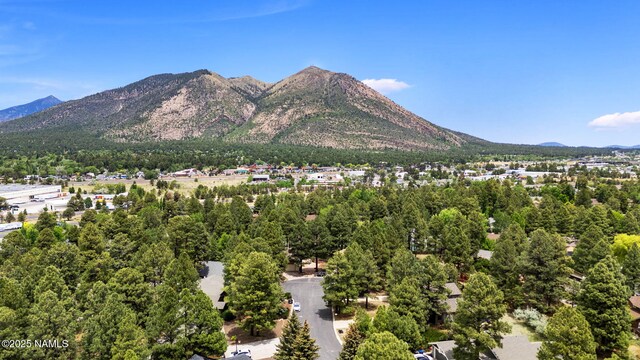 2468 N Strawberry Way, Flagstaff, AZ 86004 - photo 34
