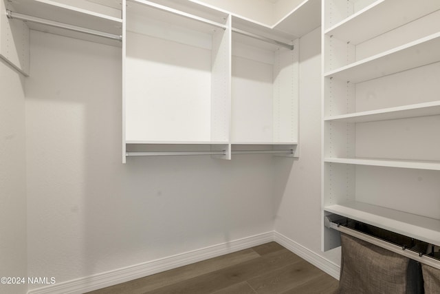 spacious closet with dark wood-type flooring