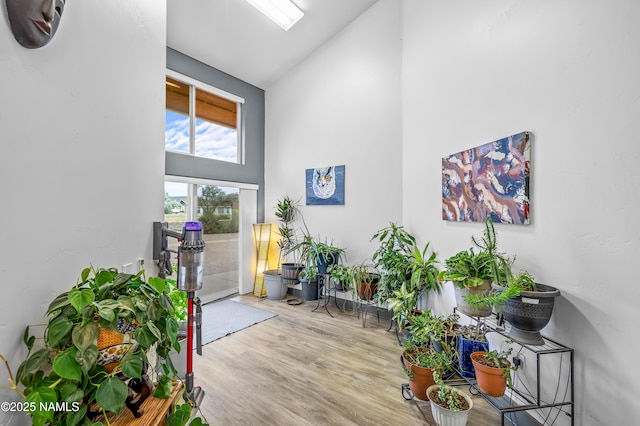 10076 Roan Rd, Flagstaff, AZ 86004 - photo 19