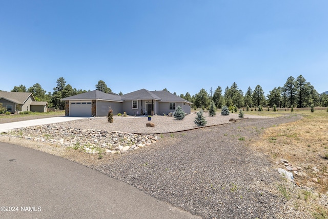 ranch-style home with concrete driveway and a garage