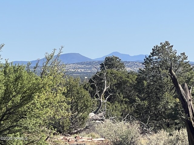 8801 S Rim Ranch Rd, Williams, AZ 86046 - photo 6