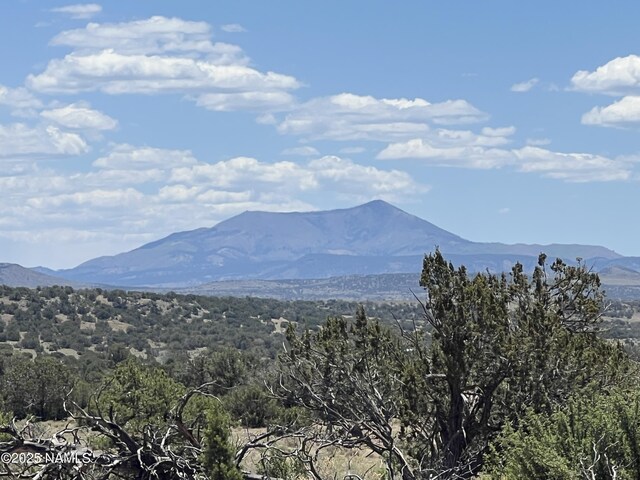 8801 S Rim Ranch Rd, Williams, AZ 86046 - photo 9