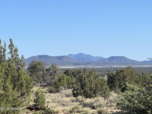 8801 S Rim Ranch Rd, Williams, AZ 86046 - photo 4