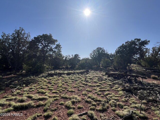8801 S Rim Ranch Rd, Williams, AZ 86046 - photo 7