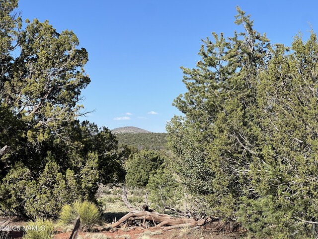 8801 S Rim Ranch Rd, Williams, AZ 86046 - photo 5
