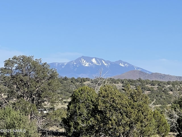 8801 S Rim Ranch Rd, Williams, AZ 86046 - photo 1