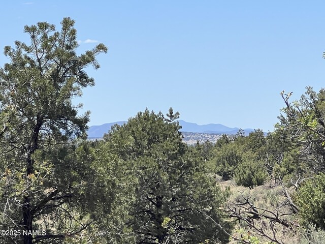8801 S Rim Ranch Rd, Williams, AZ 86046 - photo 10