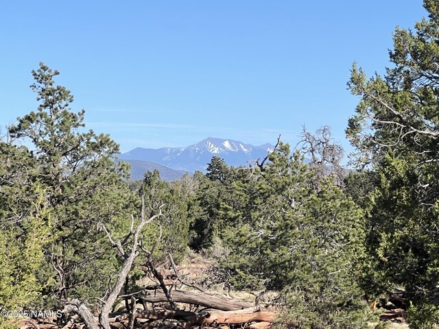 8801 S Rim Ranch Rd, Williams, AZ 86046 - photo 8