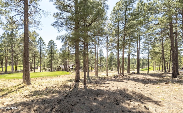 1999 E Iron Horse Ct, Flagstaff, AZ 86005 - photo 4
