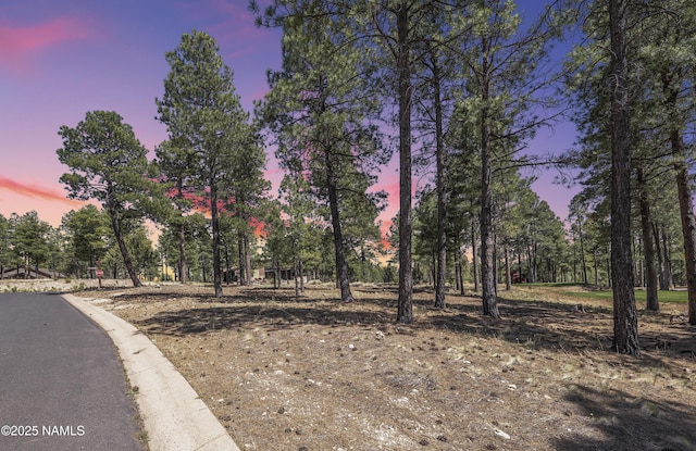 1999 E Iron Horse Ct, Flagstaff, AZ 86005 - photo 1