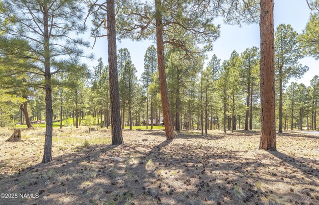 1999 E Iron Horse Ct, Flagstaff, AZ 86005 - photo 10
