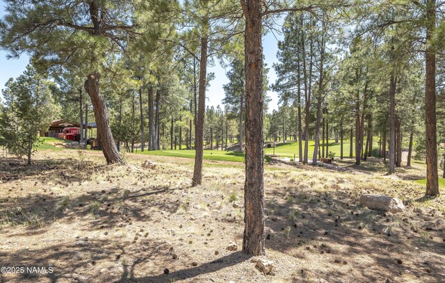 1999 E Iron Horse Ct, Flagstaff, AZ 86005 - photo 12