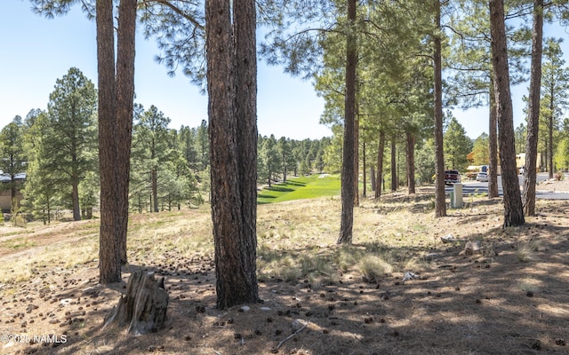 1999 E Iron Horse Ct, Flagstaff, AZ 86005 - photo 3