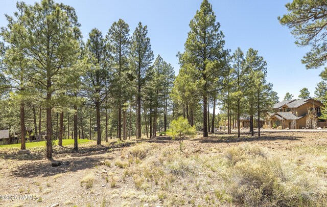 1999 E Iron Horse Ct, Flagstaff, AZ 86005 - photo 9