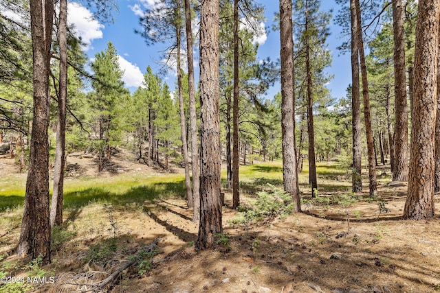 3456 Laurie Ln Unit 9, Flagstaff AZ, 86005 land for sale