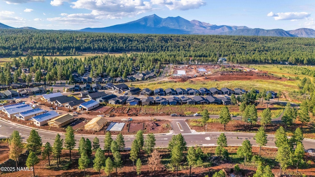 aerial view featuring a mountain view