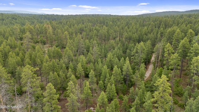 1430 E Puma Pl Unit B, Munds Park, AZ 86017