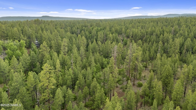 1430 E Puma Pl Unit B, Munds Park, AZ 86017