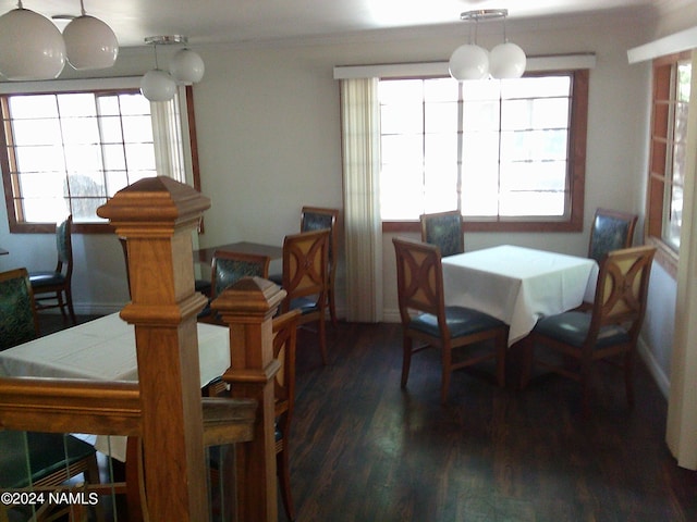 dining space featuring a wealth of natural light and dark wood-type flooring