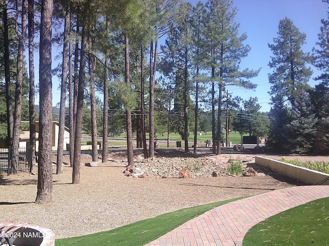 17612 Fairway Dr, Munds Park, AZ 86017 - view of yard