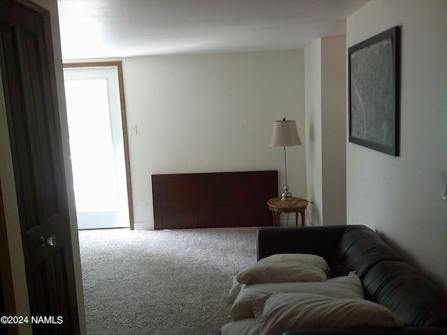 sitting room featuring carpet flooring