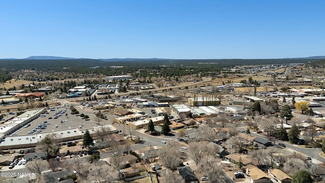 2808 N Steves Blvd, Flagstaff, AZ 86004 - photo 35