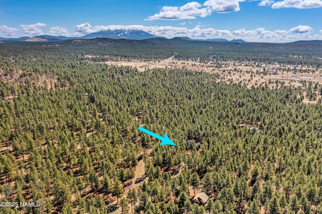 435 N Laramy Ln, Parks, AZ 86018 - bird's eye view of a forest and mountains