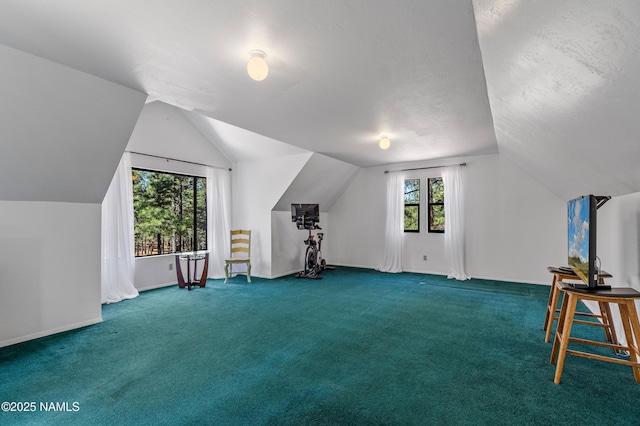 435 N Laramy Ln, Parks, AZ 86018 - bonus room featuring vaulted ceiling, carpet, and baseboards