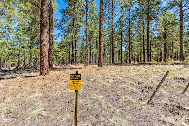 435 N Laramy Ln, Parks, AZ 86018 - view of yard with a wooded view