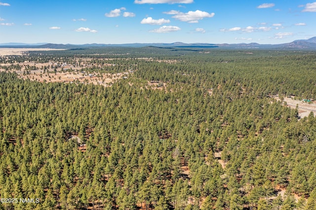 435 N Laramy Ln, Parks, AZ 86018 - drone / aerial view of a forest and a mountainous background