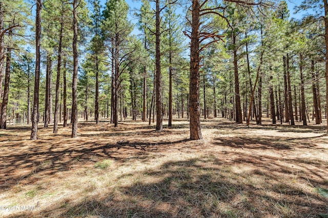 435 N Laramy Ln, Parks, AZ 86018 - view of woods