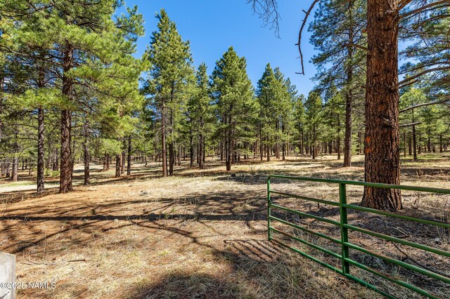 435 N Laramy Ln, Parks, AZ 86018 - view of yard with fence
