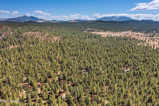 435 N Laramy Ln, Parks, AZ 86018 - view of mountain backdrop featuring a forest