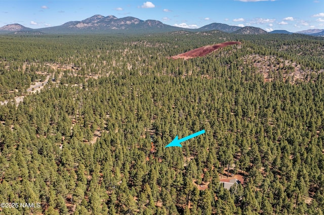 435 N Laramy Ln, Parks, AZ 86018 - aerial view of property and surrounding area featuring a heavily wooded area and mountains