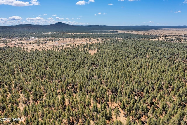 435 N Laramy Ln, Parks, AZ 86018 - view of mountain background with a forest