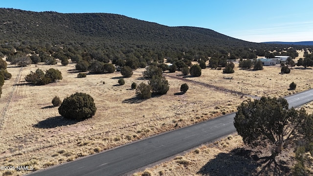 48955 N Anvil Rock Rd, Seligman, AZ 86337 - photo 1
