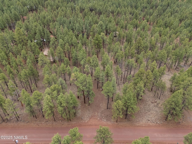 7454 E Robin Hood Rd, Williams, AZ 86046 - photo 17