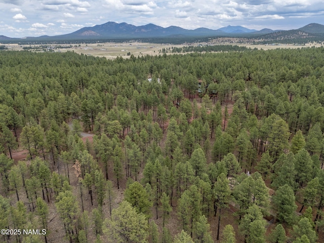 7454 E Robin Hood Rd, Williams, AZ 86046 - photo 16