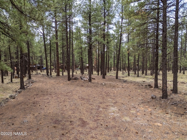7454 E Robin Hood Rd, Williams, AZ 86046 - photo 7
