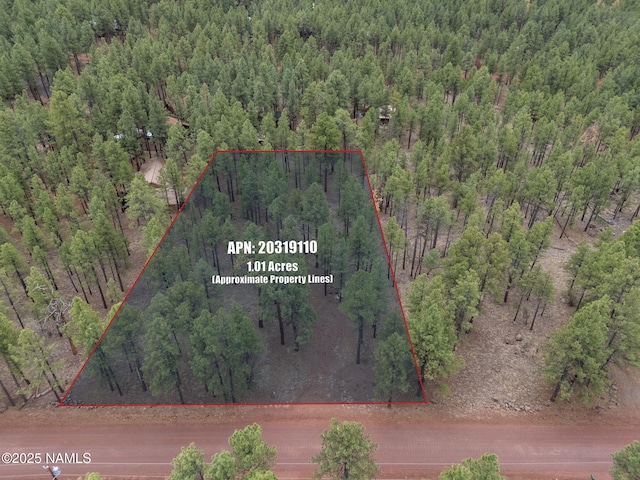 7454 E Robin Hood Rd, Williams, AZ 86046 - photo 20